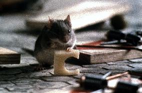 MOUSEHUNT