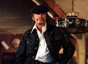 MR. MAJESTYK (US1974) CHARLES BRONSON