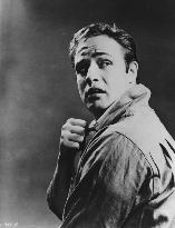 ON THE WATERFRONT (US1954) MARLON BRANDO AS TERRY MALLOY