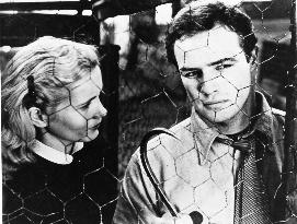 ON THE WATERFRONT (US1954) MARLON BRANDO AND EVA MARIE SAINT