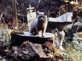 STEPHEN KING'S PET SEMATARY