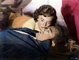 REBEL WITHOUT A CAUSE