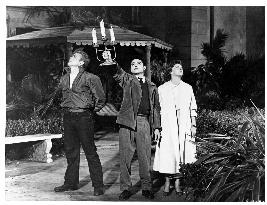 REBEL WITHOUT A CAUSE