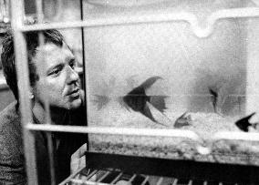 RUMBLE FISH