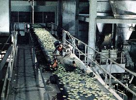 SOYLENT GREEN