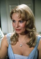 STAND UP VIRGIN SOLDIERS