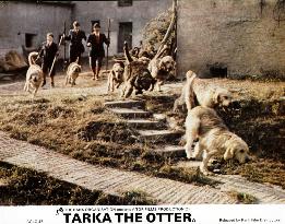 TARKA THE OTTER