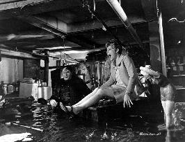 THE TIGER MAKES OUT (US1967) ELI WALLACH, ANN JACKSON