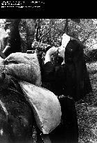 TWO MULES FOR SISTER SARA