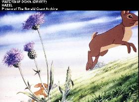 WATERSHIP DOWN