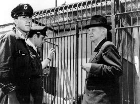 UMBERTO D