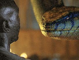 ANACONDAS: THE HUNT FOR THE BLOOD ORCHID