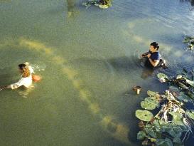 ANACONDAS: THE HUNT FOR THE BLOOD ORCHID