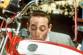 PEE WEE'S BIG ADVENTURE