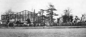 TEDDINGTON STUDIOS IN 1931