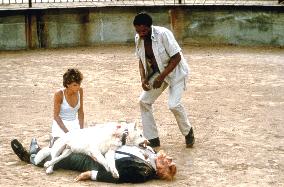 WHITE DOG (USA/1982) KRISTY MCNICHOL,? ACTOR ON GROUND, AND