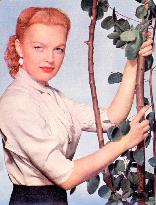 JUNE HAVER