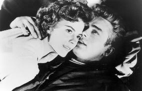 REBEL WITHOUT A CAUSE