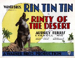 RINTY OF THE DESERT