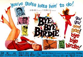 BYE BYE BIRDIE