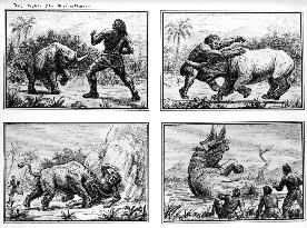 Ray Harryhausen storyboard for an unidentified film