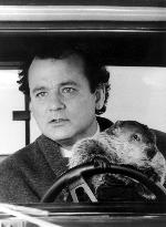 GROUNDHOG DAY