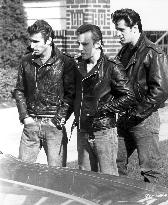 THE LORDS OF FLATBUSH