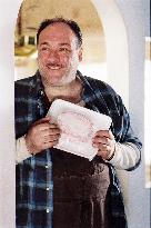 JAMES GANDOLFINI plays Nick Murder -- ROMANCE &amp; CIGARETT