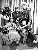 THE BEVERLY HILLBILLIES