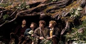 THE LORD OF THE RINGS: THE FELLOWSHIP OF THE RING