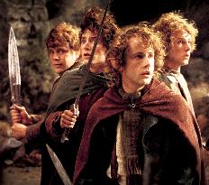 THE LORD OF THE RINGS: THE FELLOWSHIP OF THE RING