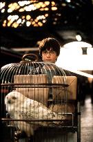 Quality: 2nd Generation. Film Title: Harry Potter.   For fur