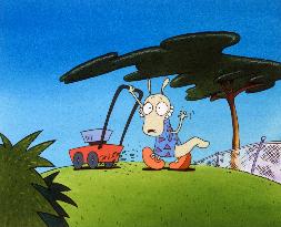 ROCKO'S MODERN LIFE