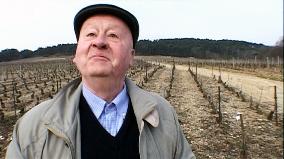 MONDOVINO  Pictured: Hubert De Montille (French Winemaker).