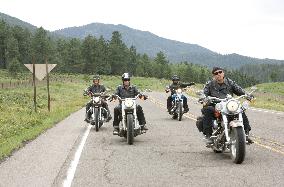 WILD HOGS