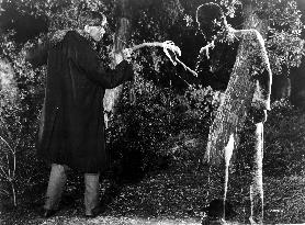 THE INVISIBLE MAN RETURNS