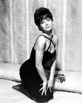 SUZANNE PLESHETTE