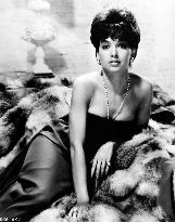 SUZANNE PLESHETTE