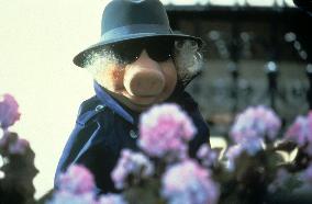 THE GREAT MUPPET CAPER