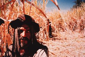 Quality: 2nd Generation. Film Title: Behind The Sun.    For