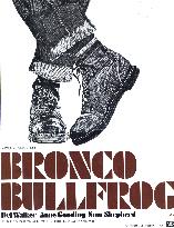 BRONCO BULLFROG