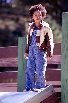 THE PURSUIT OF HAPPYNESS