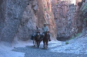 THREE BURIALS OF MELQUIADES ESTRADA