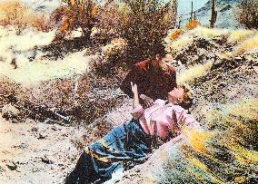 THE GUNS OF FORT PETTICOAT