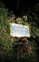 Grave of VIRGINIA RAPPE in The Hollywood Cemetery, Los Angel