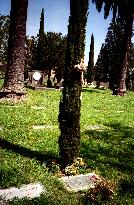 Grave of VIRGINIA RAPPE in The Hollywood Cemetery, Los Angel
