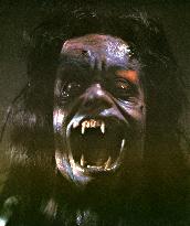 THE HOWLING