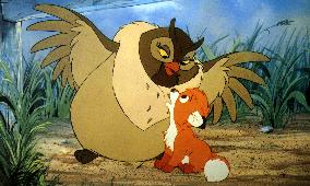 THE FOX AND THE HOUND