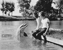 FLIPPER'S NEW ADVENTURE