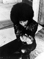 FOXY BROWN
